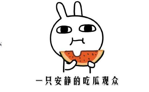 抖音吃瓜 网红,网红们的瓜田盛宴  第3张